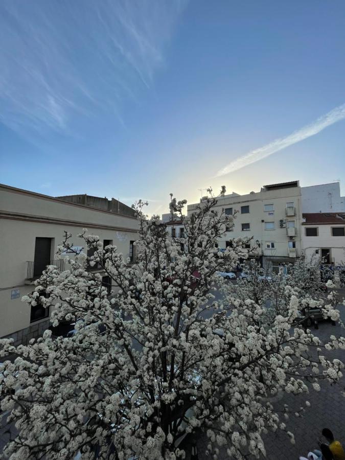 El Mentidero At-cc-00762